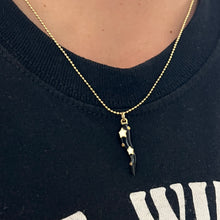 Load image into Gallery viewer, Black Horn Necklace
