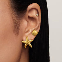 Load image into Gallery viewer, Coastal Sparkle – 3-Pair Earrings Set
