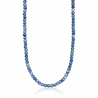 Kyanite Beaded Necklace