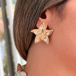Cz Starfish Earrings - Georgina Nicol
