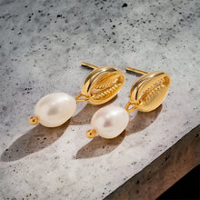 Load image into Gallery viewer, Seashell Pearl Earrings, Ocean Jewelry, Tarnish Resistant
