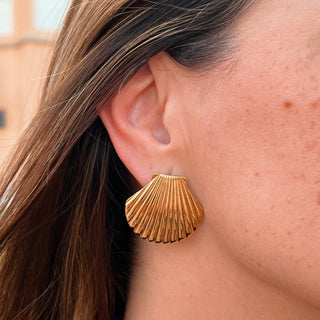 Seashell Earrings - Georgina Nicol