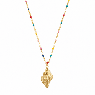 Seashell Necklace - Georgina Nicol